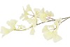 SILK GINKGO WHITE 85CM NM