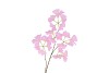 SILK GINKGO PURPLE 85CM NM