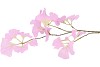SILK GINKGO PURPLE 85CM NM
