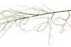 SILK FLOCKY POWDER FLOWER SPRAY WHITE 126CM NM