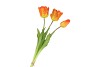 SILK TULIP BOUQUET ORANGE 26X47CM NM