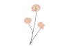 SILK HYDRANGEA X3 PINK/CHAMPAGNE 85CM