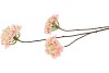 SILK HYDRANGEA X3 PINK/CHAMPAGNE 85CM