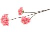 SILK HYDRANGEA X3 PINK 85CM