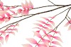 SILK SALIX LEAF PINK/CHAMPAGNE 135CM NM