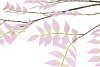 SILK SALIX LEAF PURPLE 135CM NM