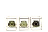 POLLY SUMMER GREEN MIX METAL RACK SQUARE GLASS AS 11X11X13NM