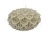CANDLE DAHLIA PISTACHE 12X8CM NM