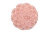 CANDLE DAHLIA OLD LIGHT PINK 15X10CM NM