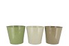 ZINC SUMMER GREEN MIX BUCKET BASIC ASS 19X18X15CM NM