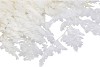 DRY BLEACHED LEDERVAREN PREPARED 45X40CM NM