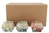 GREENGIFT DAISY EGGPLANT SWEET PEPPER MIX CARTON 11X8CM NM