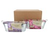 GREENGIFT LAVENDER COSMOS MIX ZINC 10X28X10CM NM