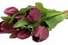 SILK TULIP BOUQUET 7X PURPLE 17X30CM