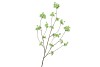 SILK CHERRY BLOSSOM GREEN 126CM