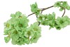 SILK CHERRY BLOSSOM GREEN 85CM