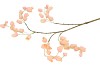 SILK BELLFLOWER SALMON 88CM