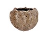 MIKA WILD BROWN POT WAVY 20X14CM
