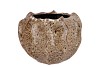 MIKA WILD BROWN POT WAVY 22X16CM
