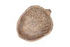 CONCRETE GOLDEN ACORN 24X20X6CM
