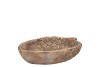 CONCRETE GOLDEN ACORN 21X17X5CM