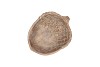 CONCRETE GOLDEN ACORN 21X17X5CM