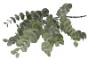 SILK EUCALYPTUS GREEN STEM 86CM