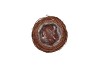 NATURE PLANTER ELM BRANCH BROWN 11X8CM
