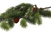 SILK PINE WITH CONE 81CM