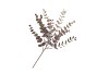 SILK EUCALYPTUS PURPLE STEM 51CM