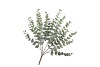 SILK EUCALYPTUS GREEN BUSH 53CM