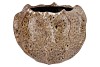 MIKA WILD BROWN POT WAVY 36X26CM