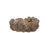 CONCRETE SCOTTISH BROWN PINECONE DISH 23X16X11CM