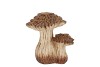 WONDERLAND SCOTTISH GREY MUSHROOMS 17X14X17CM