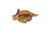 WONDERLAND SCOTTISH BROWN LEAF, BIRD & HEDGEHOG 14X8X10CM