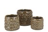 ALORA MAJESTIC GREEN POT 15X15X13CM