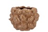 MILOU SCOTTISH SAND POT ACORNS ALLOVER 20X20X16CM