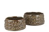 ALORA MAJESTIC GREEN POT 25X25X12CM