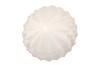 PORTO PINE TREE WHITE 21X21X50CM