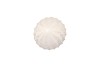 PORTO PINE TREE WHITE 10X10X20CM