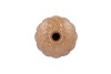 MILOU SCOTTISH SAND VASE ACORN 8X8X10CM
