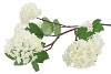 SILK VIBURNUM WHITE 117CM