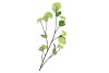 SILK VIBURNUM GREEN 117CM