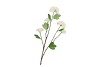 SILK VIBURNUM WHITE 69CM