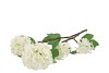SILK VIBURNUM WHITE 69CM