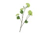 SILK VIBURNUM GREEN 69CM