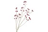 SILK APPLE SNOW RED 135CM