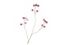 SILK APPLE SNOW RED 93CM