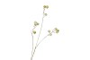 SILK APPLE SNOW GREEN 93CM