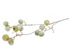 SILK APPLE SNOW GREEN 93CM